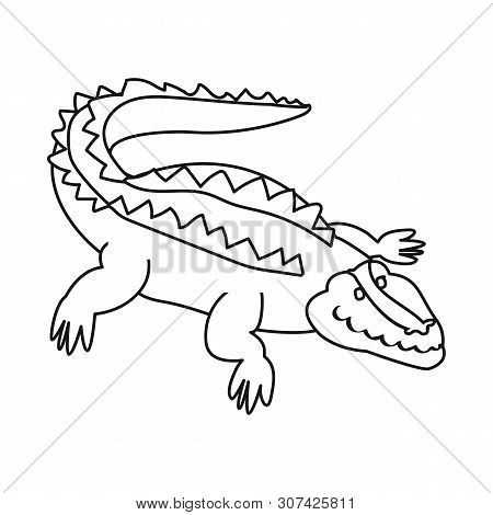 Vector Illustration Of Crocodile And Alligator Icon. Collection Of Crocodile And Cute Stock Vector I