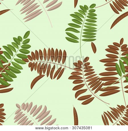 Autumn Acacia Leaf Seamless Pattern. Soft Pastel Light Green Background And Bench With Green, Brown 