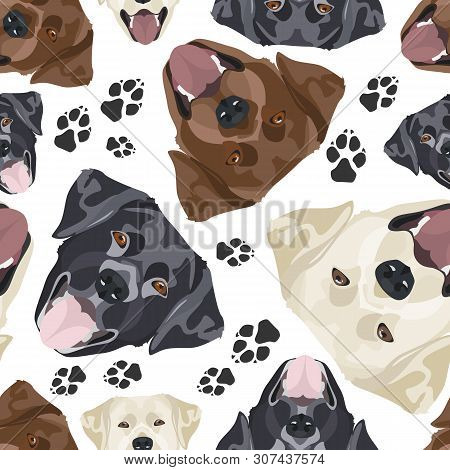 Cheerful Illustration Labrador