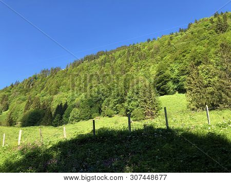 Pastures And Mixed Forests In The Valley Of Wagital Or Waegital And By The Alpine Lake Wagitalersee 
