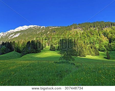 Pastures And Mixed Forests In The Valley Of Wagital Or Waegital And By The Alpine Lake Wagitalersee 