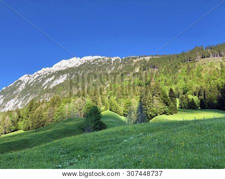 Pastures And Mixed Forests In The Valley Of Wagital Or Waegital And By The Alpine Lake Wagitalersee 