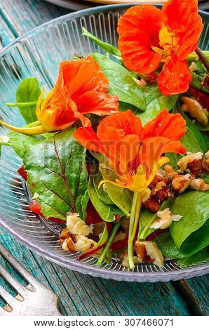 Summer Nasturtium Salad
