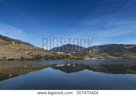 View Of Douro River With Terraced Vineyards Near The Village Of Foz Coa, In Portugal; Concept For Tr