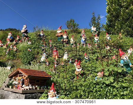Garden Dwarves In The Valley Of Wagital Or Waegital And By The Alpine Lake Wagitalersee (waegitalers