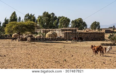 Landscape In Gheralta In Tigray, Northern Ethiopia, Africa. Trip From Axum To Gheralta