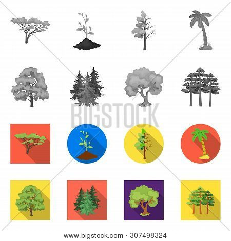 Vector Design Of Tree And Forest Icon. Set Of Tree And Green Vector Icon For Stock.
