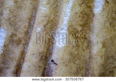 Plot Material Marble Antique Statues. The Place Of The Cleaved Marble And The Texture Of The Treated