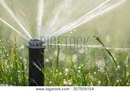 Automatic Sprinkler System Watering The Lawn On A Background Of Green Grass