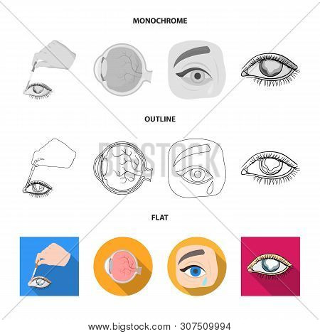 Vector Design Of Medical And Eyeball Icon. Set Of Medical And Optical Vector Icon For Stock.