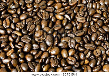 Feld aus Kaffeebohnen