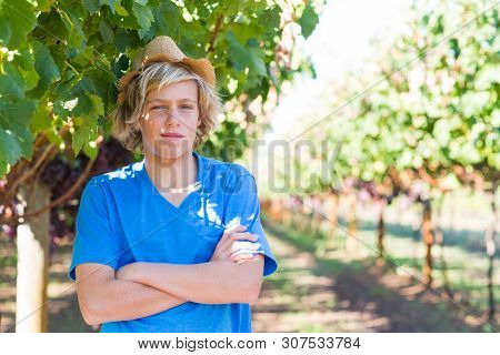 Guy Standing With Arms Folded Posing In Vineyard. Young Winegrower In Vine Row. Portrait Of Blond Fa