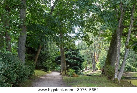 Palanga Botanical Park Lane In Summer Midday, Palanga, Lithuania, Europe