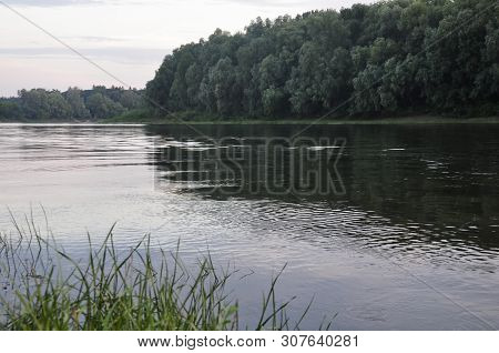 Wide River Flowing Across Green Forest. Summer Evening. Reflections Of Trees And Grass In The Calm F