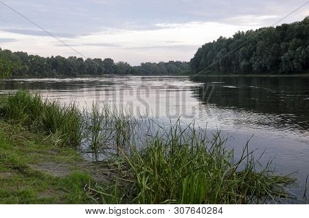 Wide River Flowing Across Green Forest. Summer Evening. Reflections Of Trees And Grass In The Calm F