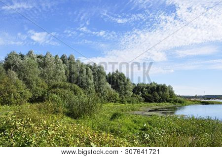 Wide Blue River Is Slow Flowing. Summer. Sunny Weather And White Sand. Green Trees Far Away