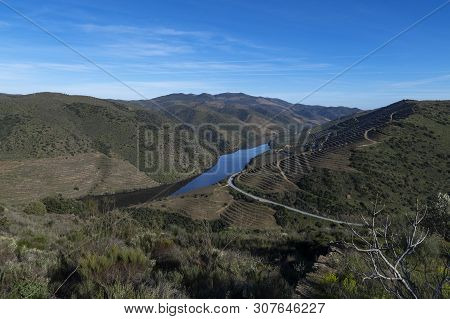 View Of Douro River With Terraced Vineyards Near The Village Of Foz Coa, In Portugal; Concept For Tr