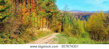 Colorful Autumn Landscape With Picturesque Forest And Old Country Road. Wide Photo.