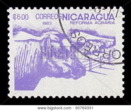 NICARAGUA-CIRCA 1983:A stempel trykt i USA viser billede af landbruget Nicaragua, circa 1983.