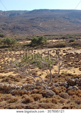 Dessert Road To Karoumes Beach Kreta Island Background Fine Art Prints