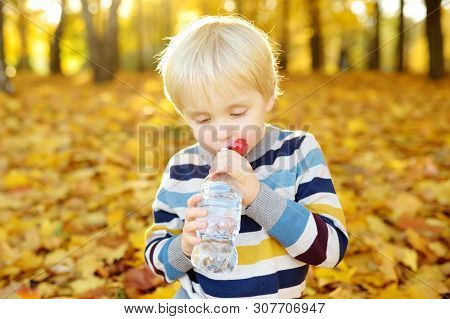 Little Boy Drinks Water During Walking At Autumn In Forest Or Park. Water Is The Healthiest Drink Fo