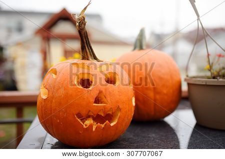 Halloween Pumpkin Head Jack Lantern. Traditional Halloween Celebrations Party Outdoors. Carving.