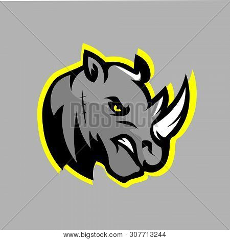 Rhinoceros Is The Second Largest Land Animal, Living In Africa And Asia.
