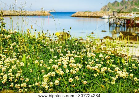 Fishing Port, Bleik Village In Summer Time. Andoya Island, Vesteralen Archipelago.
