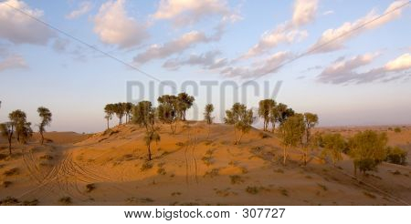 Desert Scene
