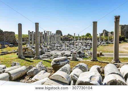 Antique Ruins In The Park On A Bright Sunny Day.