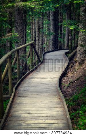 Nice Wooden Path Of Aigüestortes I Estany De Sant Maurici National Park In A Spanish Pyrenees Mounta