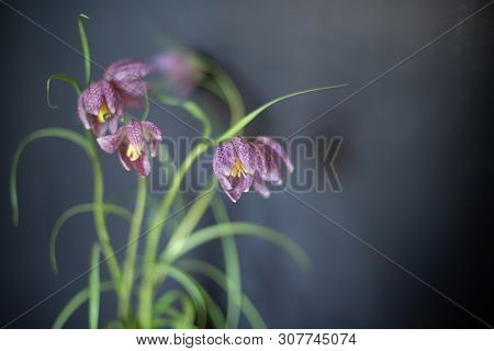 Bouquet Of Flowers On A Leg In The Interior Of The Restaurant For A Celebration Shop Floristry Or We