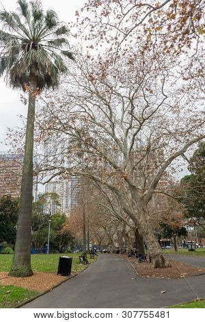 Sydney, Australia - June 15th 2015: People Sat Relaxing In Belmore Park. The Park Is Adjacent To The