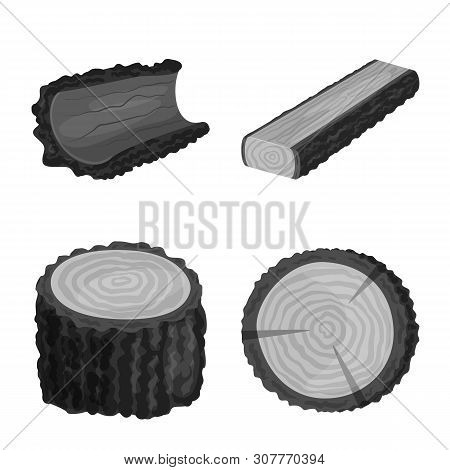 Vector Illustration Of Forest And Wooden Icon. Set Of Forest And Nature Vector Icon For Stock.