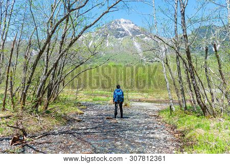Male Hiker Standing In The Forest Of Kamikochi In Northern Japan Alps.