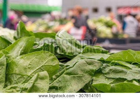 Pile Of Fresh Green Chard Leaves On The Marketplace Counter In Belgrade. Blurred Sellers And Custome