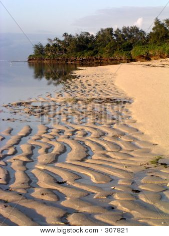 Tides Out, Tropical Beach