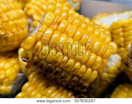 Detail Of A Roasted Cob With Delicious Corn Kernels