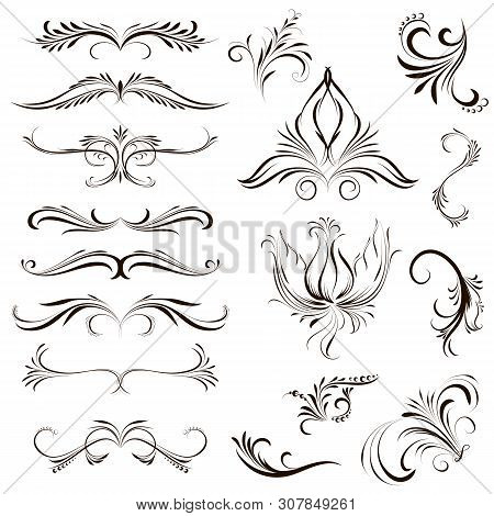 Set Of Calligraphic Element. Fflowers, Elements For A Frame, Dividers, Filigree Decoration, Curls
