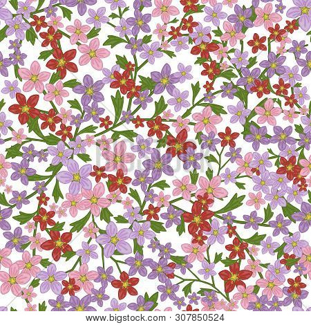 Vector Seamless Retro Pattern, Flowers Saxifrage. Fills, Wallpaper, Surface Textures.