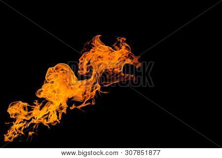 Fire In The Form Of The Mouth Of An Animal Or A Dragon. Fire Flames On Black Background. Fire On Bla