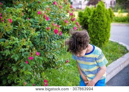 Little Boy Has Allergy To Blooming Flowers Playing Outdoor. Healthcare Concept.