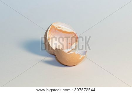 Yellow Chicken Hatching Out Of An Egg
