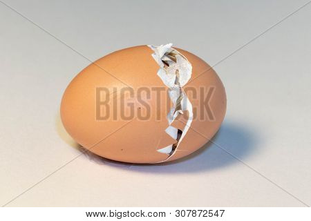 Yellow Chicken Hatching Out Of An Egg