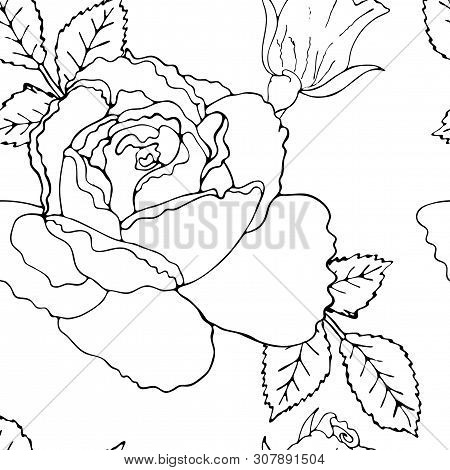 Floral Vector Seamless Pattern With Black Line Flower