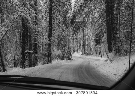 Mountain Road Highway 120 Towards Yosemite, California, Usa, On A Winters Day Viewed From The Dashbo