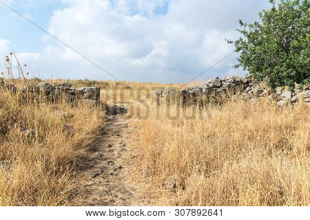 The Remnants Of The Megalithic Complex Of The Early Bronze Age  - Wheels Of Spirits - Rujum Al-hiri 