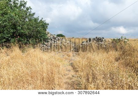 The Remnants Of The Megalithic Complex Of The Early Bronze Age  - Wheels Of Spirits - Rujum Al-hiri 