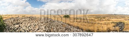 Panoramic View Of The Remnants Of The Megalithic Complex Of The Early Bronze Age  - Wheels Of Spirit