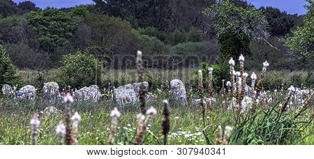 Alignements De Carnac - Carnac Stones In Carnac, France